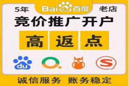 竞价托管SEM策略：提升网站流量与转化
